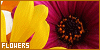 100x50 code