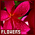 50x50 code