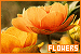 75x50 code