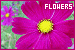 75x50 code