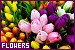 75x50 code
