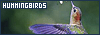 100x35 code