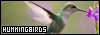 100x35 code