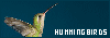 100x35 code
