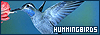100x35 code
