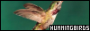 100x35 code