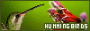 100x35 code
