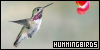 100x50 code