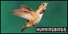 100x50 code
