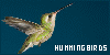 100x50 code