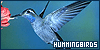 100x50 code