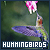 50x50 code