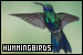 75x50 code