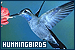 75x50 code