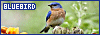 100x35 code