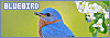 100x35 code