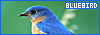 100x35 code