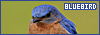 100x35 code