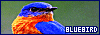 100x35 code