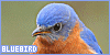 100x50 code