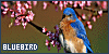 100x50 code