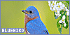 100x50 code