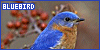 100x50 code