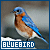 50x50 code