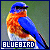 50x50 code