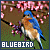 50x50 code