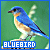 50x50 code