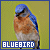 50x50 code