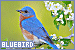 75x50 code