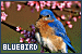 75x50 code