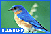75x50 code