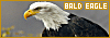 100x35 code