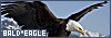 100x35 code