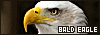 100x35 code