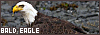 100x35 code
