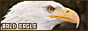 100x35 code