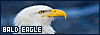 100x35 code