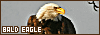 100x35 code