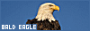 100x35 code
