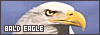 100x35 code
