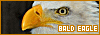 100x35 code