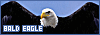 100x35 code
