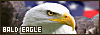 100x35 code