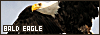 100x35 code