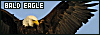 100x35 code
