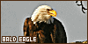 100x50 code